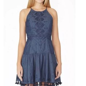 Parker denim dress